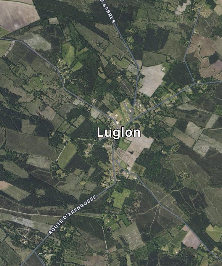 Luglon (40)
