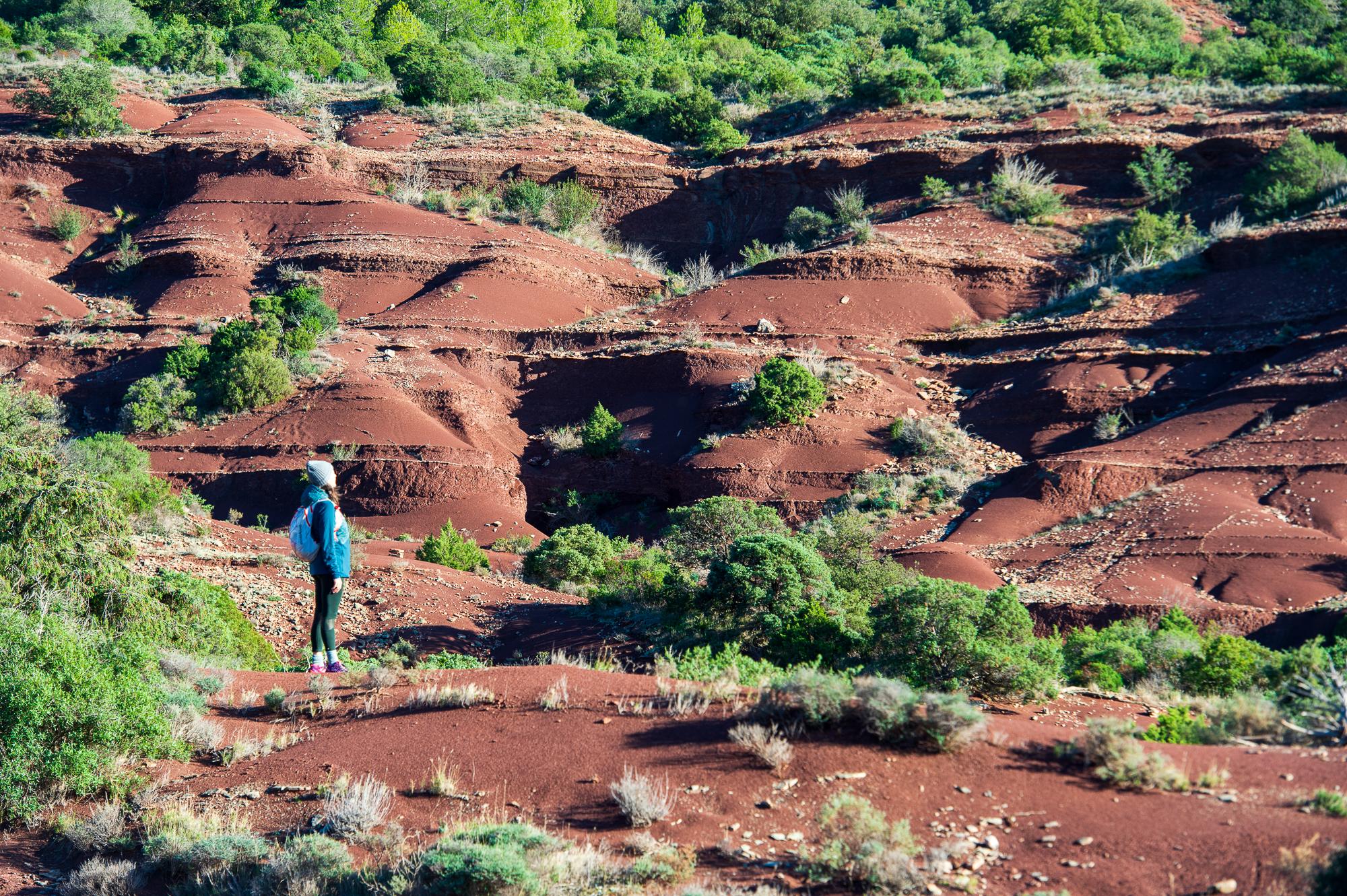 L’Hérault entre dans l’Histoire : Le Géoparc « Terres d’Hérault » décroche le label mondial UNESCO
