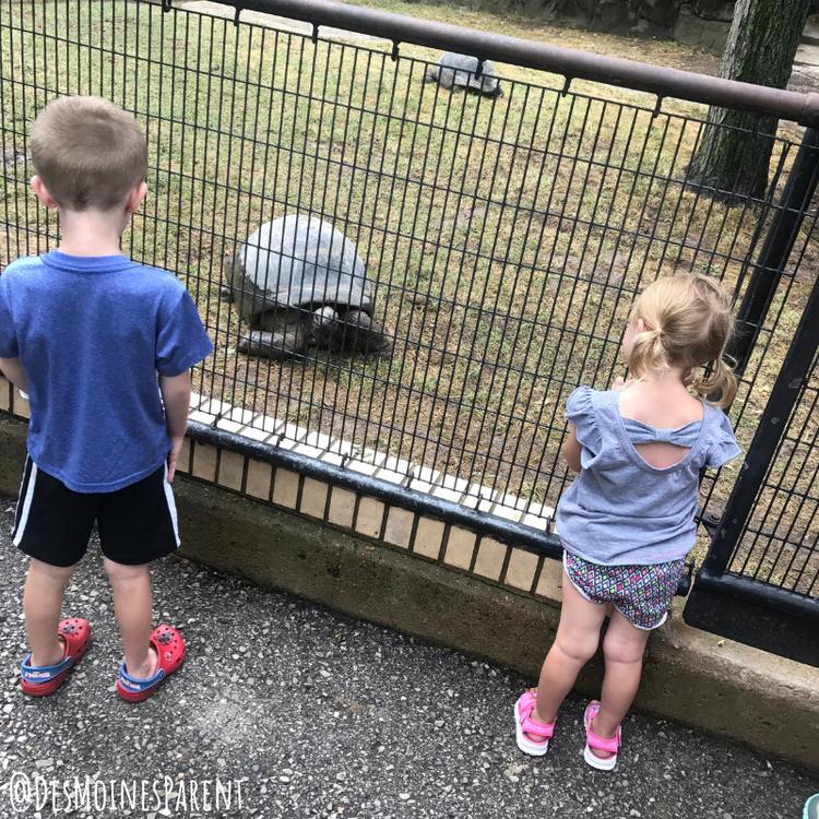 Free fun in Forest Park located in St. Louis, Missouri including the Saint Louis Zoo and Saint Louis Science Center.