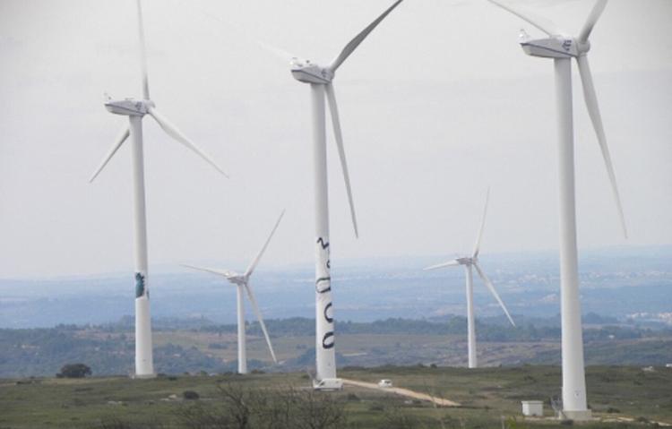EDF et le parc d'éoliennes du causse d'Aumelas condamnées par la Cour de Cassation pour destruction d'espèces protégées 