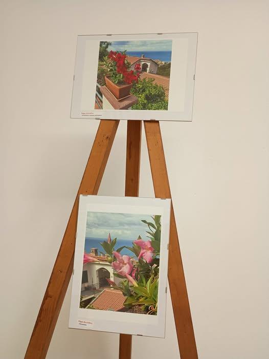 📸Si è conclusa con un bel riscontro la prima mostra fotografica ospitata dall’associazione culturale La Collina Blu, in...