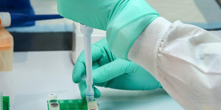 Virus Shamonda, gli esperti italiani lanciano l'appello: «Rafforzare la sorveglianza»