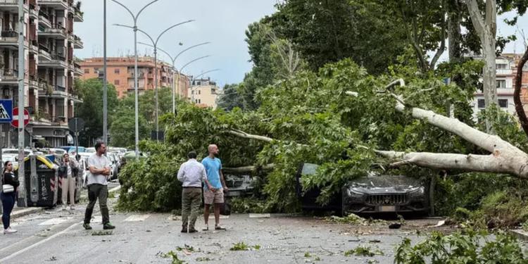 Maltempo, tromba d'aria a Roma: caduti una cinquantina di alberi. Non ci sono feriti gravi