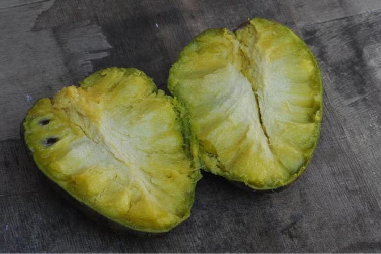 Araticum: 6 curiosidades sobre a fruta do Cerrado que amadurece em poucos dias e é muito doce