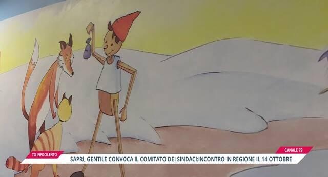 Punto Nascita Sapri: convocato vertice decisivo in Regione Campania