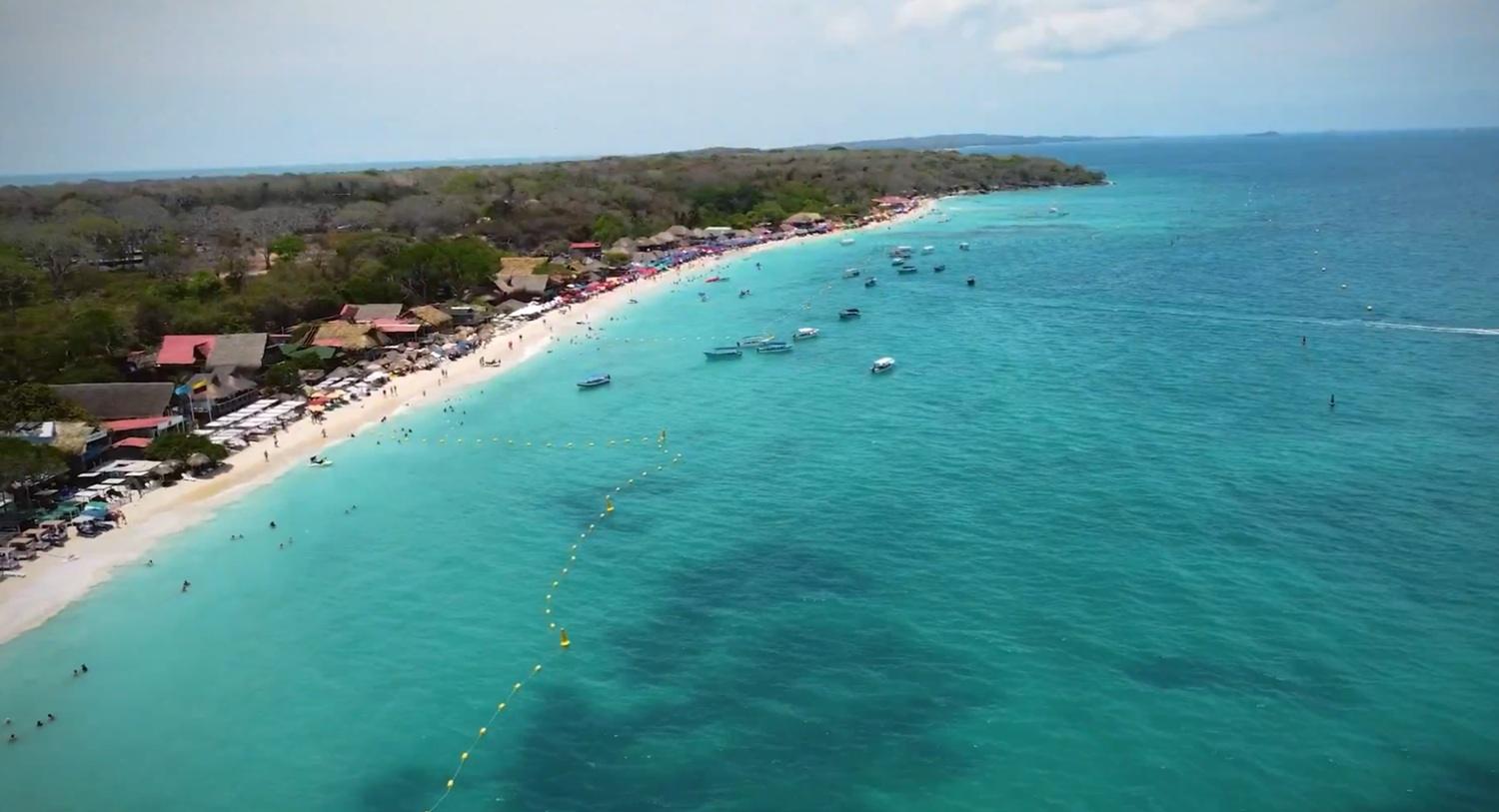 Microplastics are already present in marine worms and in sediments of Colombia’s two seas