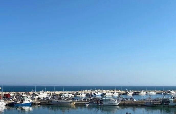 CAVIDOTTO "TUNISIA-SICILIA"  Osservazioni al progetto:  "Si tutelino ecosistema marino e comparto della pesca" LINK ......