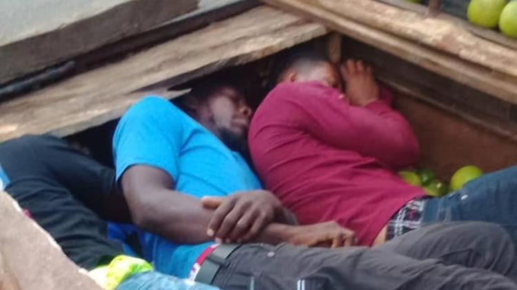 Debajo de naranjas sorprenden a tres haitianos en Dajabón