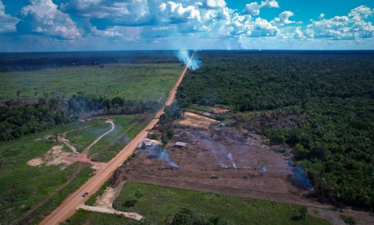Desmatamento em trecho da BR-319: ação do Observatório do clima busca anular editais para obra em estrada na região mais preservada da Amazônia (Foto: Orlando K. Jr. / FAS)