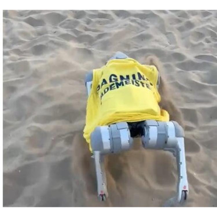 Nel Veneziano arriva Flipper, il cane-robot che fa il bagnino [VIDEO]