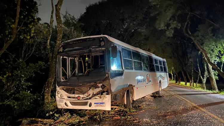 Vento forte derruba árvore sobre ônibus em Vera Cruz e causa bloqueio de mais de 5 horas em rodovia