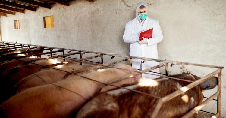 Governo busca reverter decisão da UE que exclui Brasil de lista de exportadores de produtos de origem animal