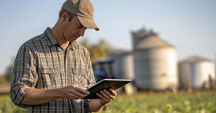 Tecnologia de IA integra secadoras, silos e aeração em plataforma única para gestão de cooperativas