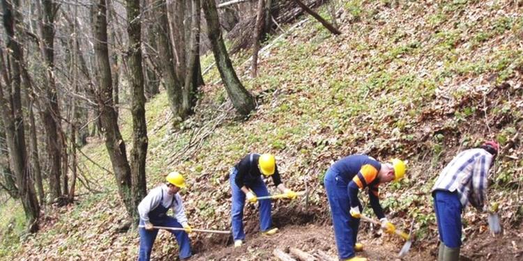 Contratto collettivo e pianificazione: i lavoratori di Calabria verde pronti alla mobilitazione