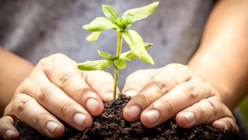 Caselle in Pittari, la Giornata dell’Ambiente riparte dai giovani e dai nuovi nati