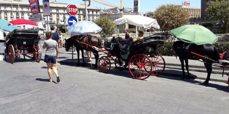 Palermo dice addio alle carrozze con i cavalli: arrivano quelle elettriche