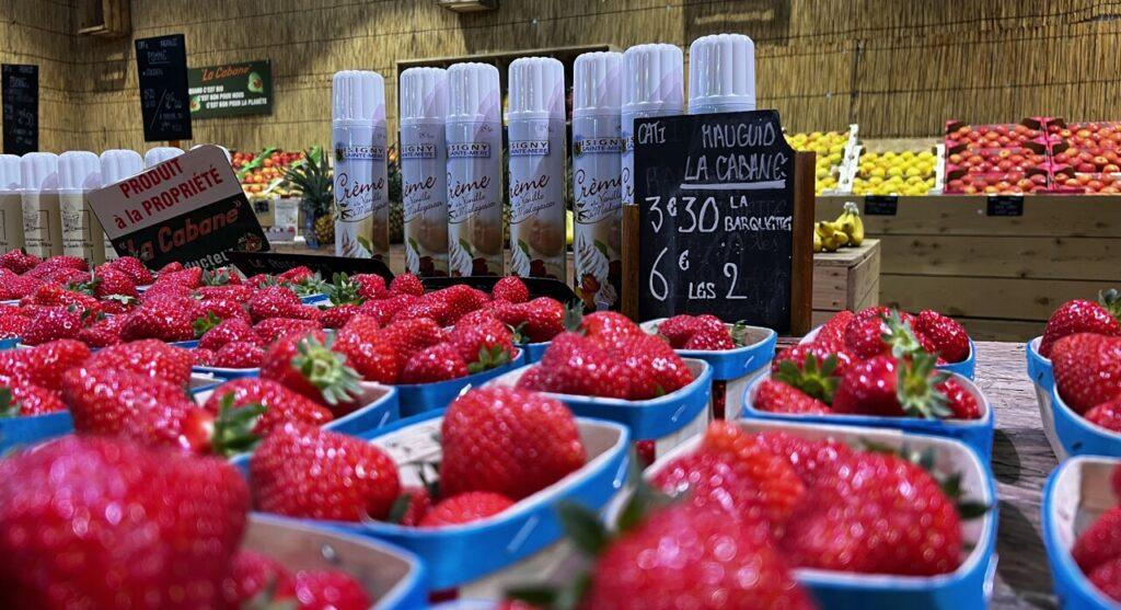 Près de Montpellier. Ramène ta fraise à Mauguio pour fondre de plaisir