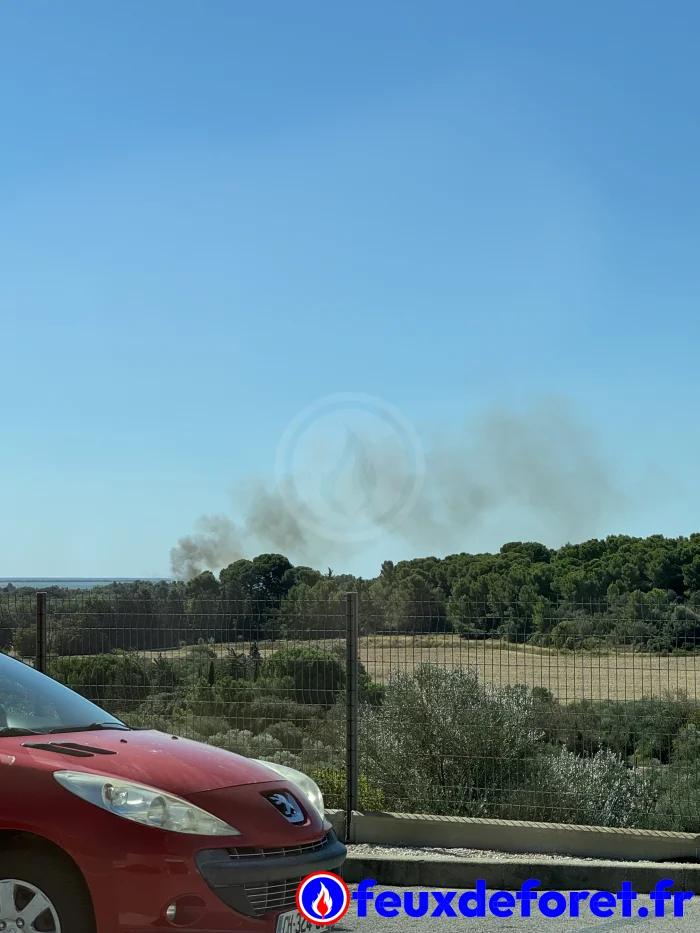 Incendie à Villeneuve-lès-Maguelone