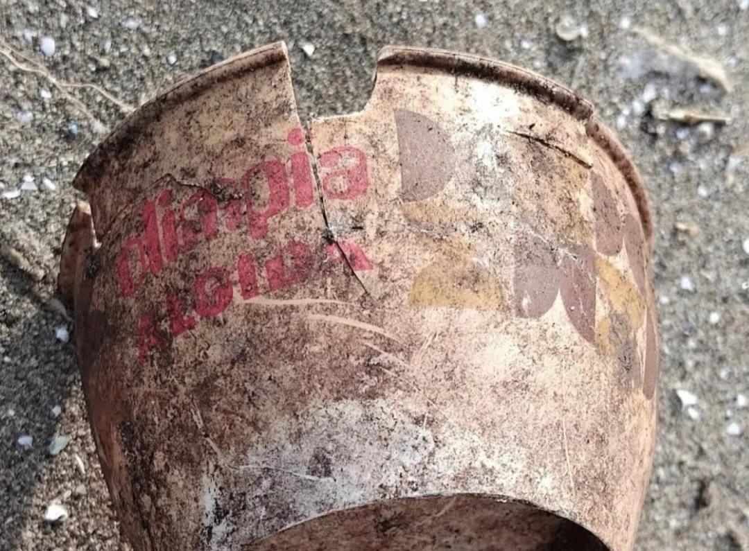 Il passato che ritorna: a Paestum la pineta svela i rifiuti degli anni Ottanta