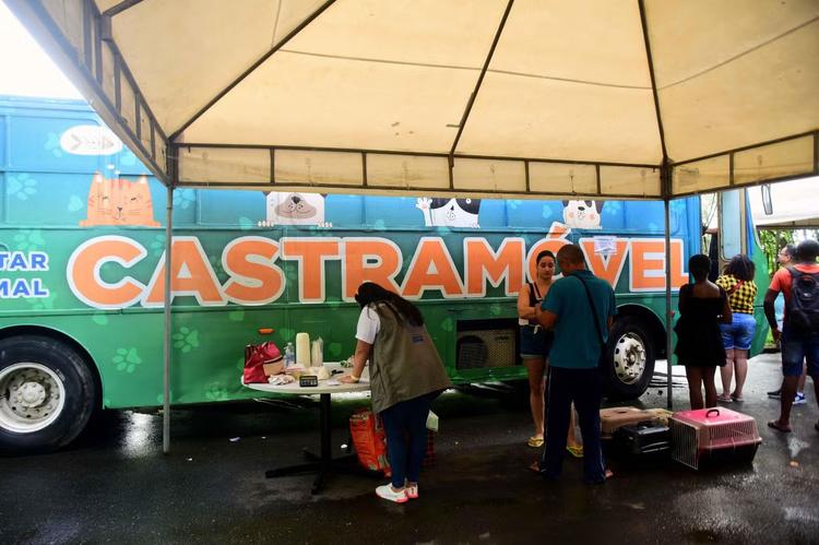 Castramóvel oferece castração gratuita de cães e gatos em Salvador
