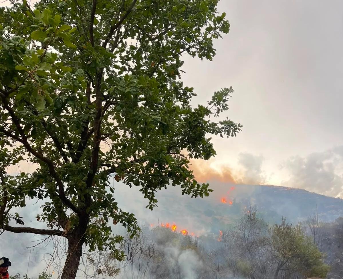 Perdifumo, vasto incendio devasta la macchia mediterranea: i soccorsi