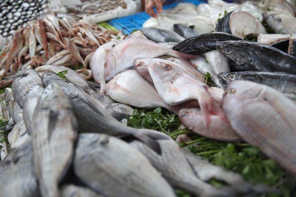 قرار إغلاق جديد يطال محلا لبيع الأسماك الفاسدة بمراكش