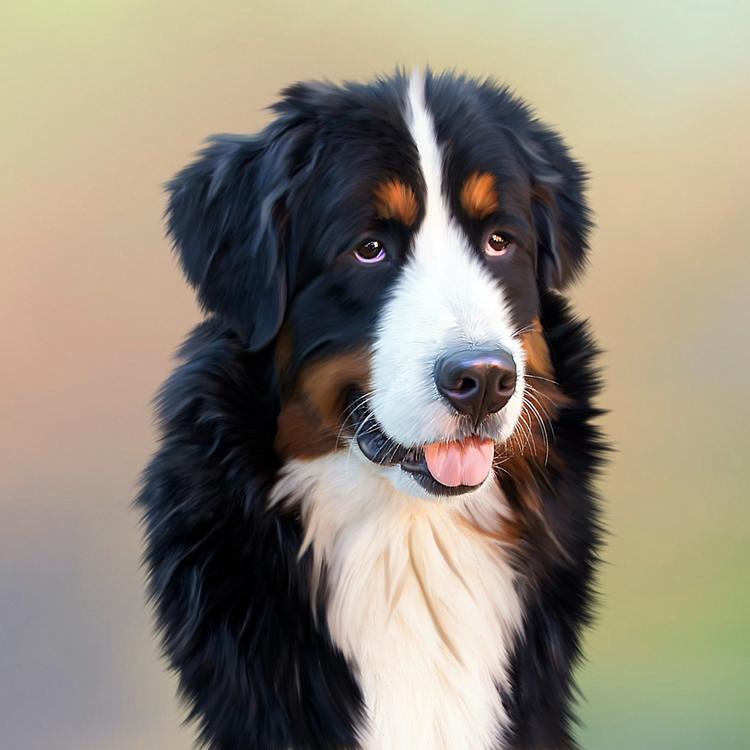 5AH HOT TAKE HOTLINE - DOG DOESN'T BITE