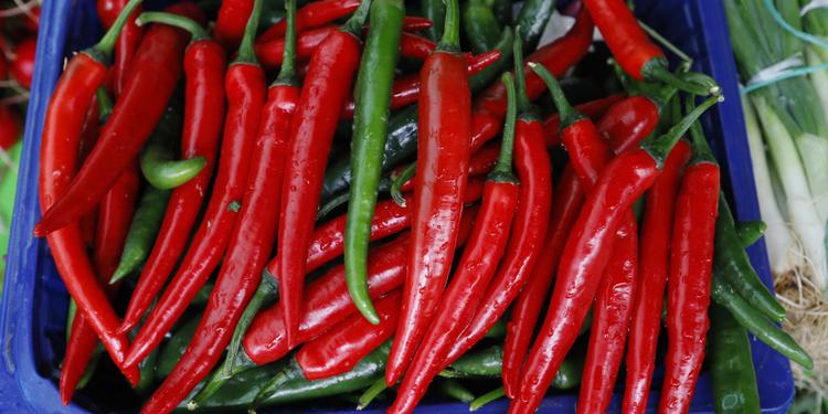 Il Peperoncino di Calabria ottiene l’Igp: riconoscimento europeo per uno dei simboli della regione