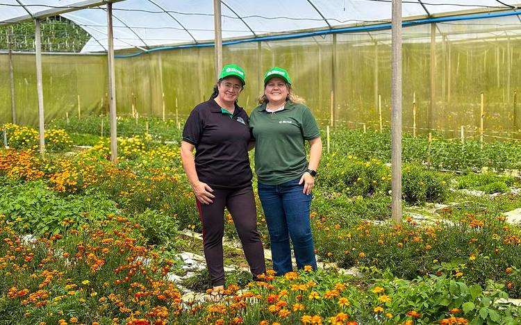 Produtora de microgreens e flores comestíveis expande negócio em Teresópolis