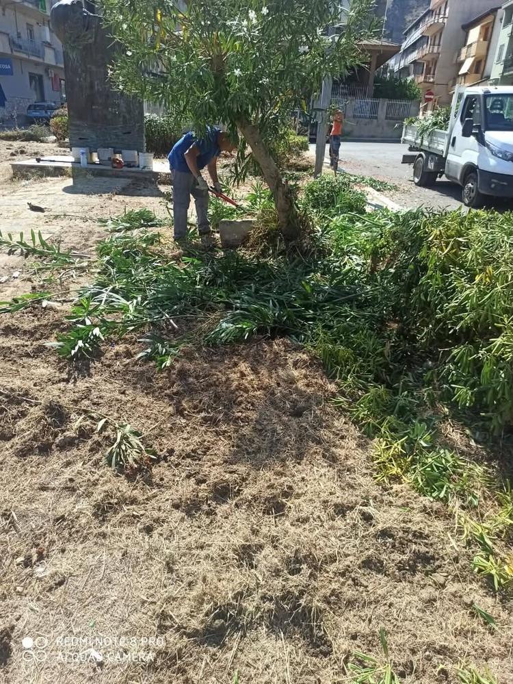 Sono iniziati da alcuni giorni gli interventi di cura e manutenzione del verde nei plessi scolastici comunali, in vista...