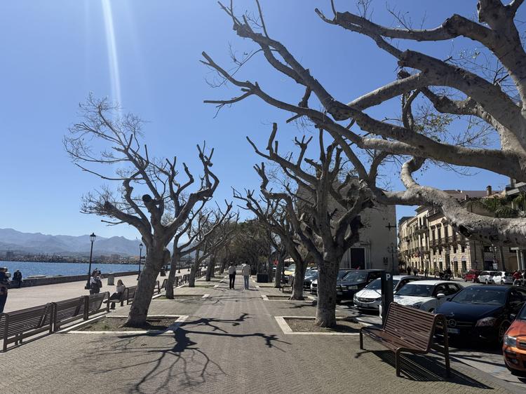 Il verde pubblico a Milazzo diventa “georeferenziato” con GreenSpace: «Manutenzioni più puntuali»