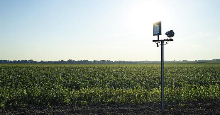 Cobertura 4G e 5G em áreas agrícolas do Brasil cresce 81% e amplia conectividade no campo