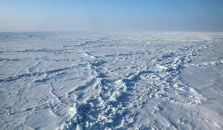 Die arktischen Winter werden wärmer