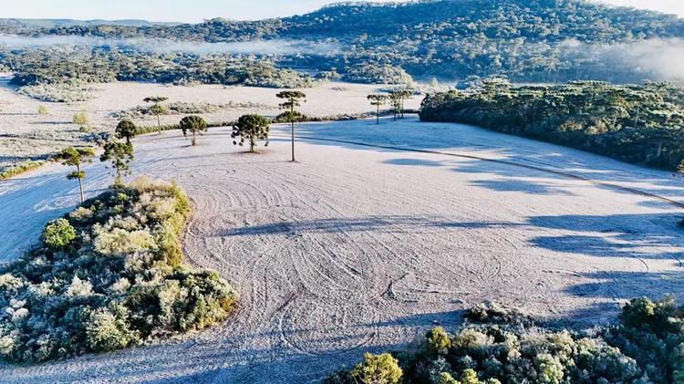Geadas e temperaturas negativas devem voltar ao Paraná; veja quando, onde e a previsão do tempo por região