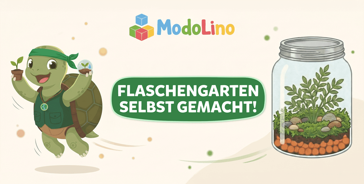 Modolino Experiment: Diese Pflanze müsst ihr nie wieder gießen 🌱