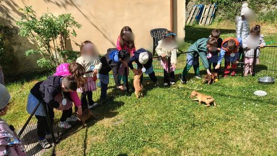 "Un progetto illuminante che aiuta a sensibilizzare i bambini sin da piccoli sulle problematiche dell’abbandono, sull’im...
