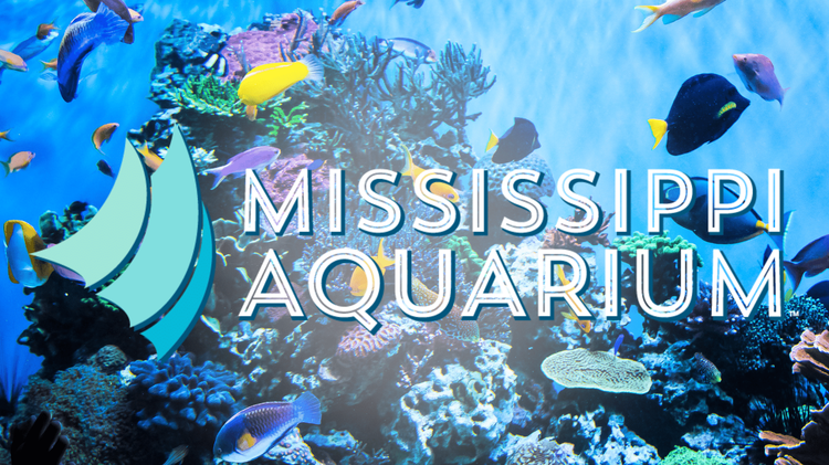 Mermaids coming to Mississippi Aquarium for family-friendly festivities