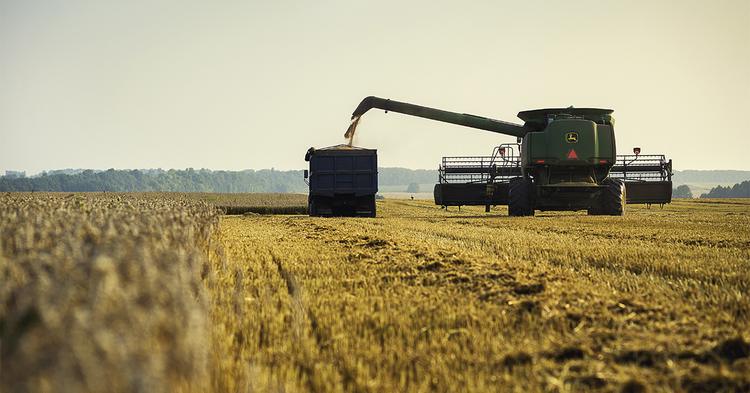 Agro paulista registrou superávit de US$ 4,49 bilhões no 1º trimestre