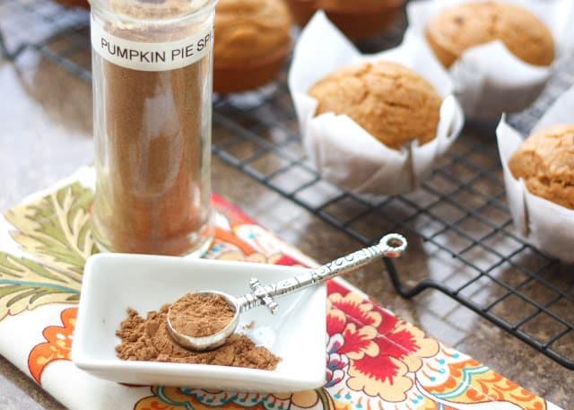 A tiny silver spoon scoops up some Pumpkin Pie Spice Mix from a white serving dish.