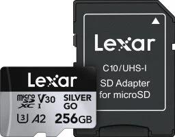 Lexar Professional Silver Go microSD card