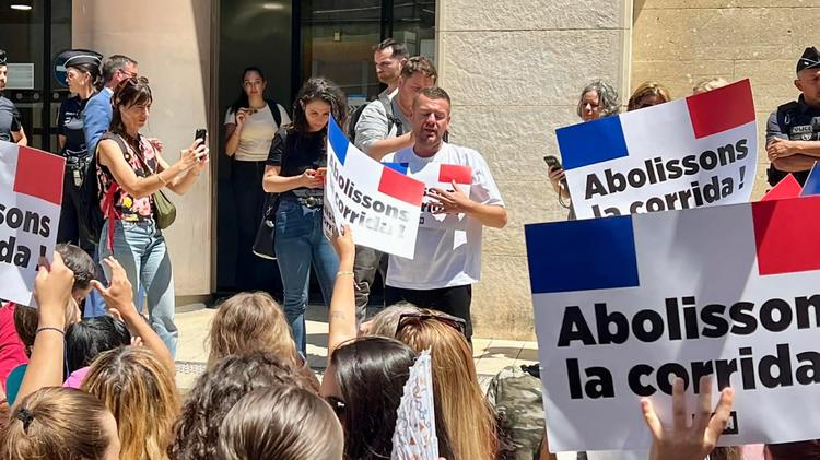 Nîmes : corrida, Jeremstar relaxé par la justice