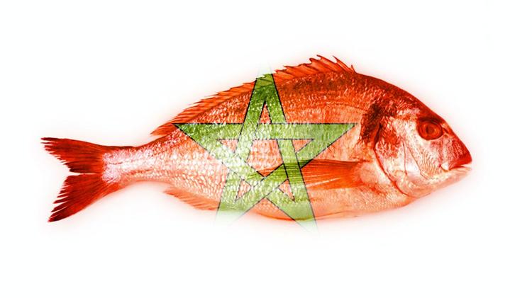 Marruecos nos envía pescado tóxico y Sánchez calla