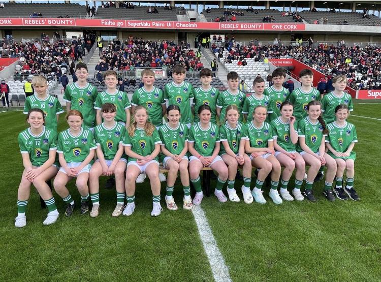 Limerick Primary Schools Boys & Girls teams that took part in the Munster GAA Primary schools halftime games:
