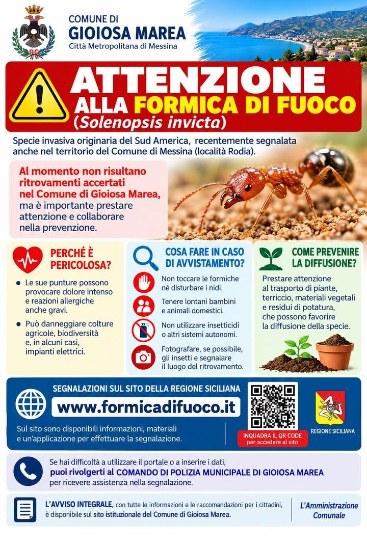 🚨 ATTENZIONE ALLA FORMICA DI FUOCO: AVVISO AI CITTADINI 🐜 La Prefettura di Messina ha segnalato  nel territorio sicili...