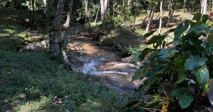Áreas de preservação na Bacia do Rio Camboriú passam por vistoria
