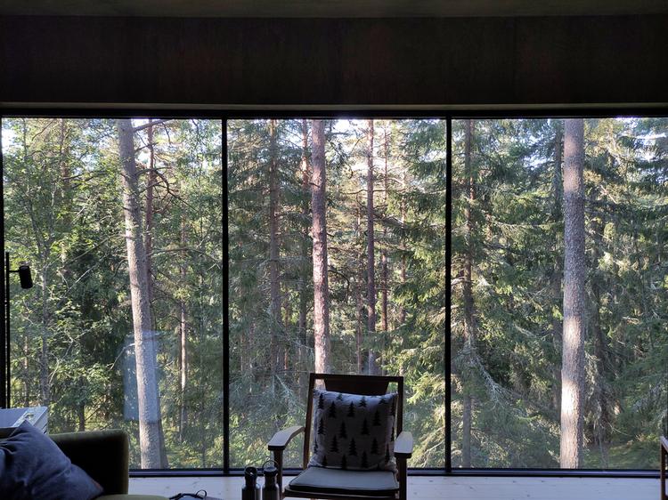 Trakt Forest Hotel - Beitragsbild