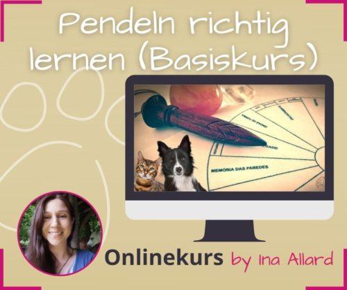 Anfänger Pendelkurs onlinekurs pendeln lernen