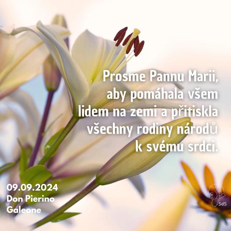 9.9.2024
Prosme Pannu Marii, aby pomáhala všem lidem na zemi a přitiskla všechny rodiny národů k svému srdci.

Don Pierino Galeone