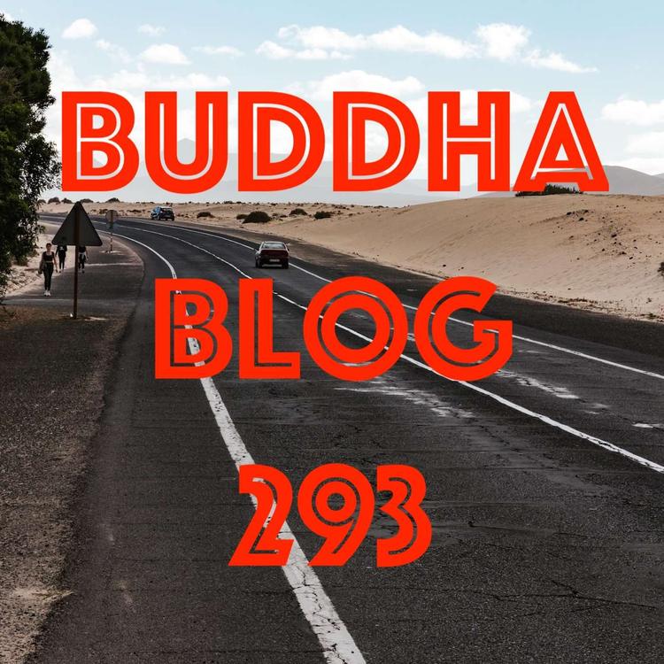293-Wohin gehen wir?-Buddha Blog-Buddhismus im Alltag