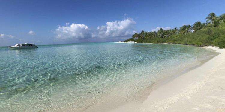 Maldive: quando gli abissi sono fatali, i precedenti